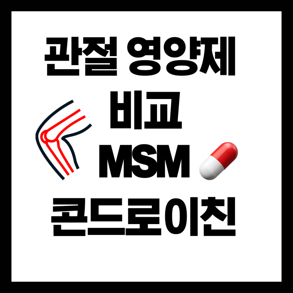 관절영양제 비교하기 MSM, 콘드로이친